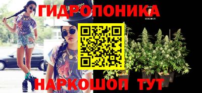 тгк Можга
