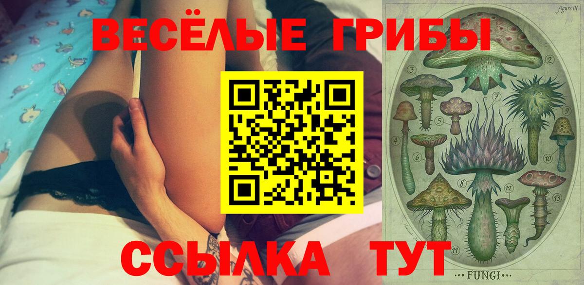 Галлюциногенные грибы прущие грибы Тара